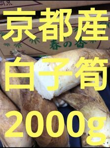 今がピーク京都産　白子筍食べてみませんか?2000g