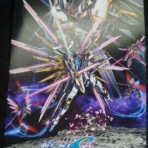 劇場版 機動戦士ガンダムSEED FREEDOM 入場者特典 14週目 セカンドキービジュアルイラストカード 映画 