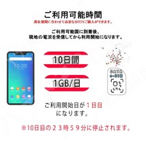 ヨーロッパ43ヶ国/地域 eSIM プリペイドeSIM eSIMカード 1日1GB利用 10日間 SIM 4G LTE 高速データ通信 4G LTE データ専用 出張 旅行_画像2