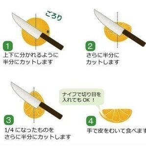 清見オレンジ 訳あり品 木熟 和歌山県産 １０kgの画像10