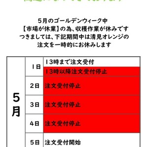 清見オレンジ 訳あり品 木熟 和歌山県産 １０kg の画像2