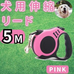 リード犬用　ハーネス　散歩　伸縮自動巻取り式　ドッグリード　ロープ　5m　ピンク