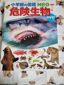 危険生物 NEO 小学館の図鑑 DVD付