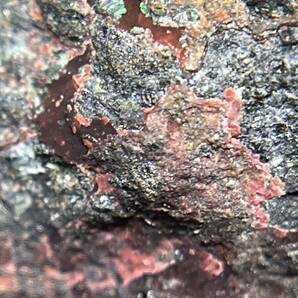 ニッケル孔雀石 浅葱石 多様な鉱物！ 国産鉱物の画像6