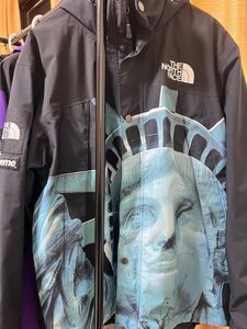 Supreme The North Face Statue of Liberty Mountain Jacket Black L