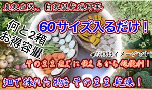 農家自家製お任せ乾燥野菜　60サイズ入るだけ発送2箱セット破格！期間限定値下げ