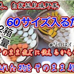 農家自家製お任せ乾燥野菜　60サイズ入るだけ発送2箱セット破格！期間限定値下げ