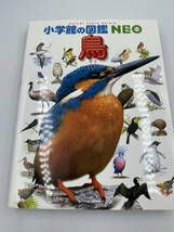 小学館の図鑑NEO　三冊セット　　飼育と観察　鳥　植物　　児童書　図鑑　絵本　学習　学校図書館　知育　　美品　中古　現状品　E335_画像4