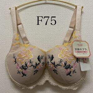 トリンプ レッドレーベル0071《F75》天使のブラ 魔法のハリ感