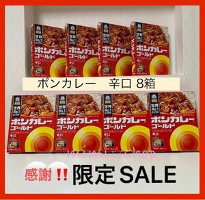 割引中【ボンカレー 辛口8箱】２箱のみ箱開封 レトルトカレー 常温保存できアウトドア、旅行携行食品にも♪