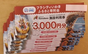 Spa Resort Hawaiians ■ 30 000 иен ■ Приемной билет, билет на проживание ■ До конца марта 2013 г.