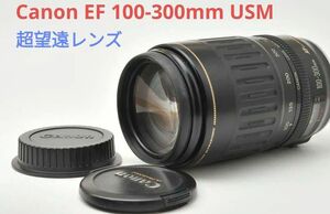 5月9日限定価格♪Canon EF 100-300mm F4.5-5.6