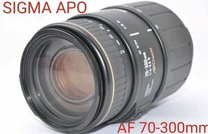 5月13日限定価格♪【Nikon用】SIGMA APO AF 70-300mm