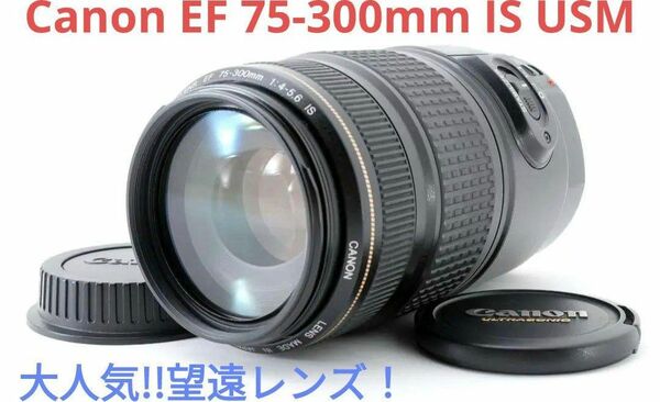 6月7日限定価格♪【大人気】Canon EF 75-300mm IS USM