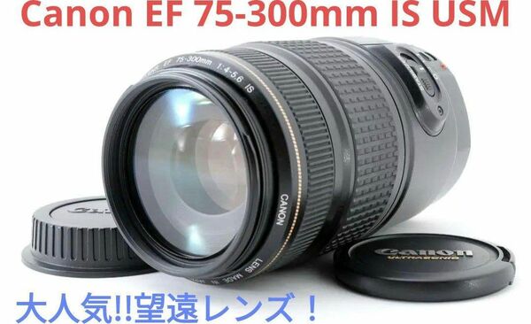 4月26日限定価格♪【大人気】Canon EF 75-300mm IS USM