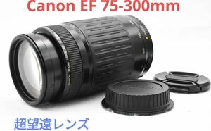 4月24日限定販売♪【超望遠レンズ】Canon EF 75-300mm