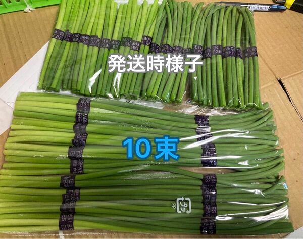 152.新鮮野菜、ニンニクの芽　蒜苔10束常温発送