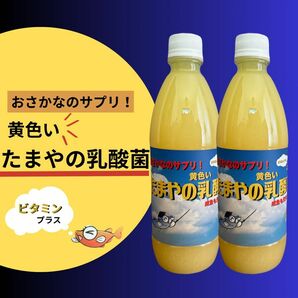 黄色い たまやの乳酸菌 (2本セット)