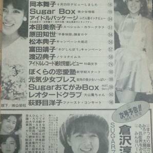 ★送料無料 ザ・シュガー 1985年6月号 本田美奈子/倉沢淳美/橋本美加子/松本典子/城源寺くるみ/セクシーアクション系投稿 考友社出版KKの画像2