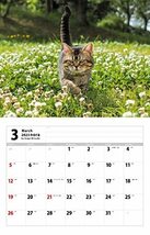 2023猫カレンダー のら ( カレンダー )_画像2