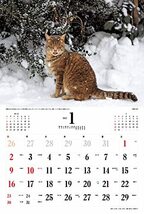 2022年カレンダー 日本の猫 ( カレンダー )_画像6