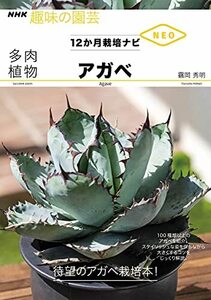  succulent plant agave (NHK hobby. gardening 12. month cultivation navi NEO)