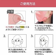 医食同源ドットコム iSDG 90枚 30枚入x3箱 立体型スパンレース不織布カラーマスク SPUN MASK_画像8