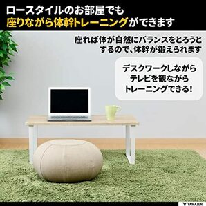 山善 バランスボール (ロータイプ) クッション スツール あぐら座椅子 固定 直径45×高さ25cm 空気入れ付きの画像3