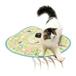  cat .(necoichi) catch *mi-*if* You * can 2 cat for electric toy ( cat . sound .)