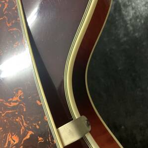 AriaアリアセミアコスティックギターTAシリーズの画像9