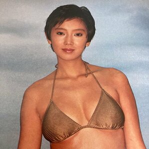 昭和レトロ 麻生祐未 切り抜き 7ページ 1983年 昭和58年 20歳 ビキニ 水着 ホッチキス外しのみの画像7