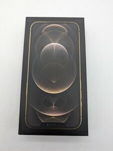 iPhone 12 pro Max Gold 256GB 箱のみ 空箱