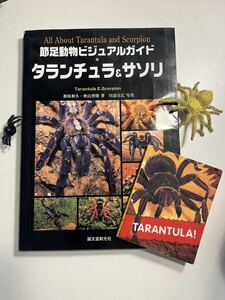 【絶版】節足動物ビジュアルガイド タランチュラ&サソリ 相原和久秋山智隆 蜘蛛フィギュア洋書付き ムカデセンチピードカマキリマンティス