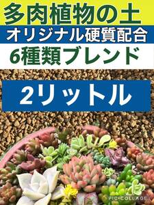 多肉植物の土2リットル　赤玉土鹿沼土ひゅうが土アガベサボテン多肉の土