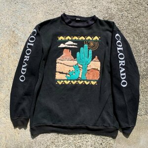 【L/XL】UNKNOWN コロラド サボテン ラバープリントスウェット ブラック 黒■ビンテージ オールド レトロ アメリカ古着 80s