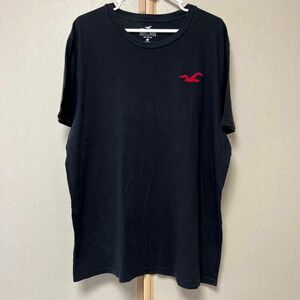 HOLLISTER Tシャツ メンズXL【b】