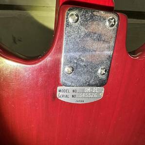 TEISCO SM-2L 1960’s ジャパニーズ ヴィンテージ エレキギター テスコ 作動確認 現状品「希少」Dの画像6
