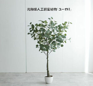 送料無料 光触媒人工観葉植物「ユーカリ」高さ150cm 造花 人工植物 フェイクグリーン（181）