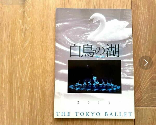 東京バレエ団☆白鳥の湖 公演パンフレット