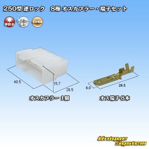 住友電装 250型 逆ロック 8極 オスカプラー・端子セット