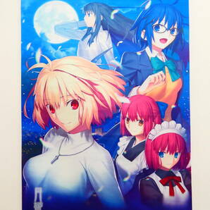 Dk5/月姫 -A piece of blue glass moon- WonderGOO限定特典付き 同梱品 パッケージビジュアル B2タペストリーの画像1