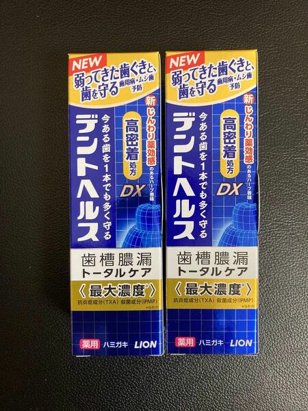 2本 ライオン デントヘルスDX 85g 歯槽膿漏トータルケア 歯磨き粉