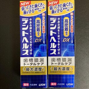 2本 ライオン デントヘルスDX 85g 歯槽膿漏トータルケア 歯磨き粉