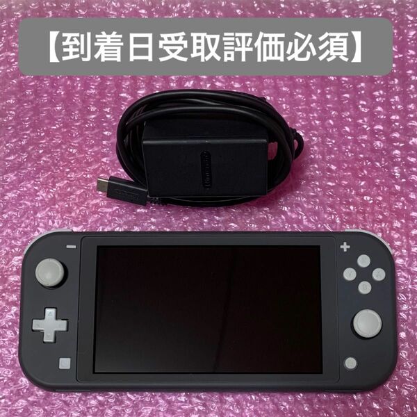 ニンテンドースイッチライト　本体　Nintendo Switch Lite グレー　【本日5時まで限定価格】