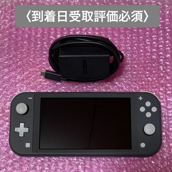 ニンテンドースイッチライト　本体　Nintendo Switch Lite グレー　ACアダプター　【本日限定価格】