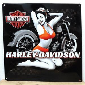 Harley Davidson