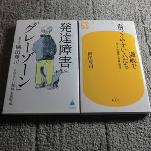 岡田尊司 ２冊「発達障害 グレーゾーン その正しい理解と克服法」「過敏で傷つきやすい人たち」送料185円。５千円以上落札で送料無料Ωの画像1