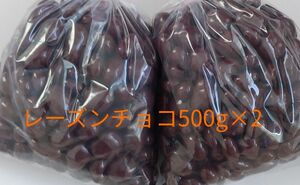 レーズンチョコ大粒(ミルク)500g×2セット　アウトレット　工場　直売　訳あり　特売　　人気