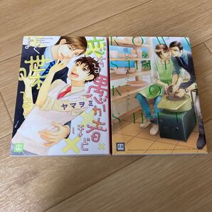 BL 漫画 コミック ヤマヲミ