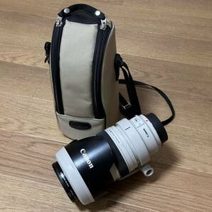 美品 Canon EF35-350mm F3.5-5.6L USM くもり カビ無し チリも無いように思います。